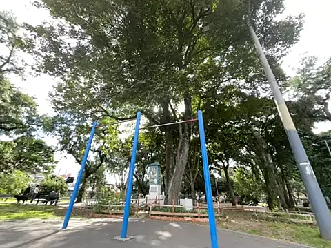 Siriss boyrag online show from 20, 2, 2026