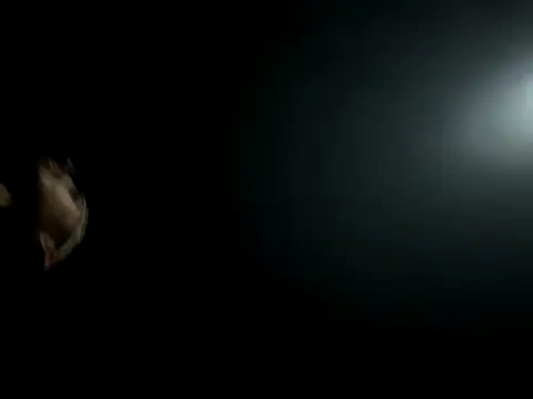 kevinsito1 online show from 9, 11, 2025