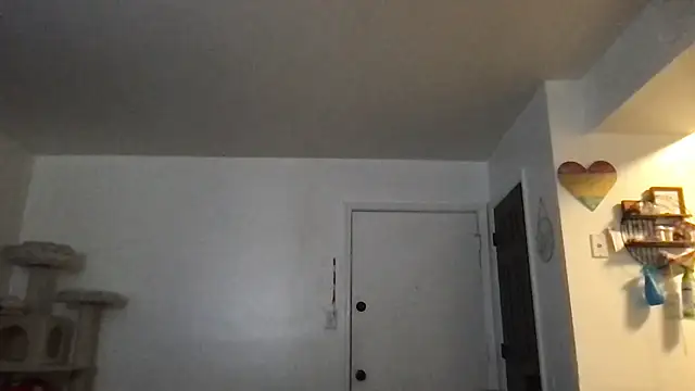 SpunCandy online show from 17, 1, 2026