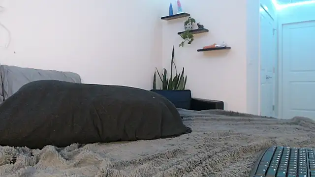 fallongrayxo online show from 8, 3, 2025