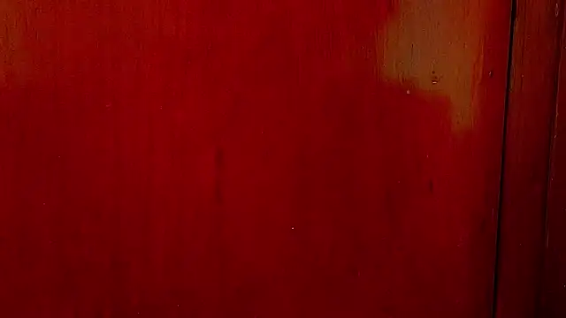 Snapshot of anisha_x chatting on 1, 10, 2025 anisha x online show from 1, 10, 2025