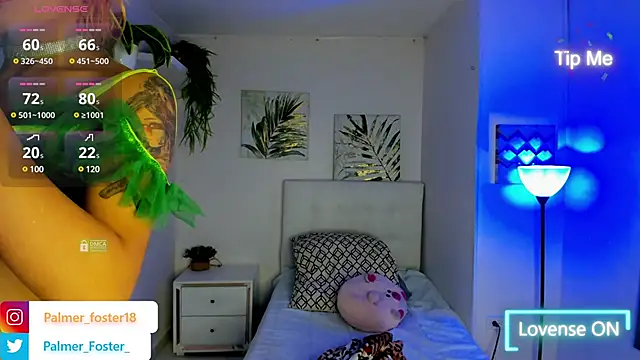 Palmer-Foster online show from 3, 3, 2025