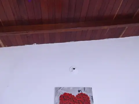 Amara Red online show from 1, 3, 2025