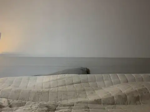 Snapshot of Diletta21 chatting on 11, 2, 2026 Diletta21 online show from 11, 2, 2026