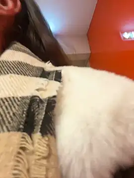 Snapshot of beautydiamond chatting on 20, 1, 2025 beautydiamond online show from 20, 1, 2025