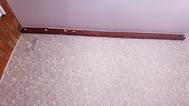 nicol f online show from 5, 2, 2025