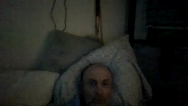 LayingRealism online show from 8, 4, 2026