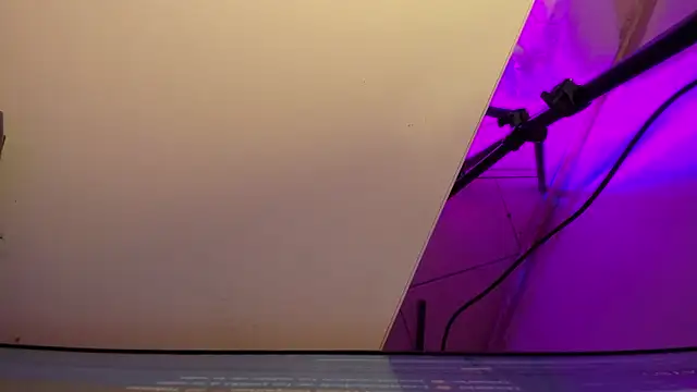 sarah  bigboobs online show from 3, 3, 2026