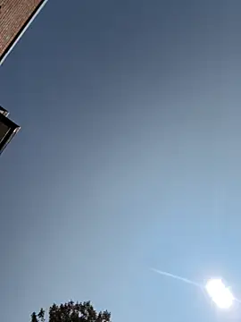 Snapshot of camdanz777 chatting on 9, 9, 2025 camdanz777 online show from 9, 9, 2025