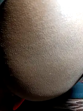 Fucker boy 1 online show from 24, 12, 2024