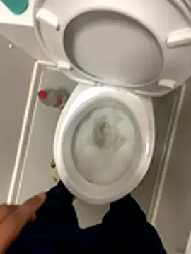 Rastamanzigy22 online show from 16, 11, 2025