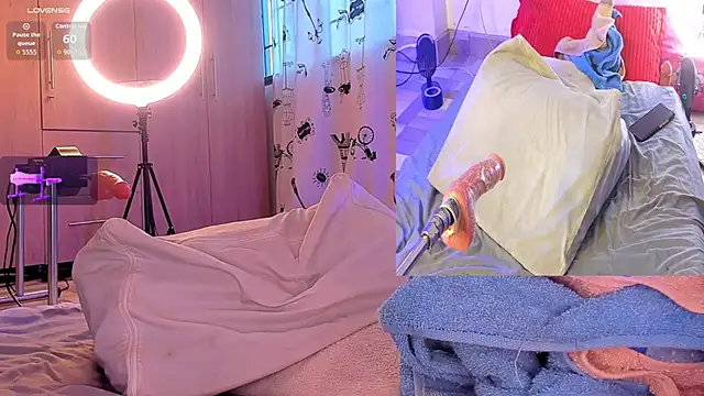 jolee   online show from 21, 2, 2026