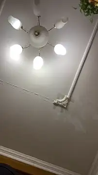 Snapshot of shuai321 chatting on 15, 12, 2024 shuai321 online show from 15, 12, 2024