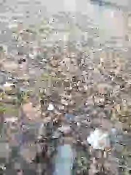 Nik888Nik888 online show from 9, 1, 2025