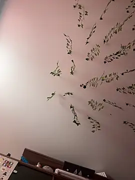 -Sexy Barbie- online show from 26, 2, 2025