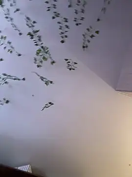 -Sexy Barbie- online show from 6, 11, 2025