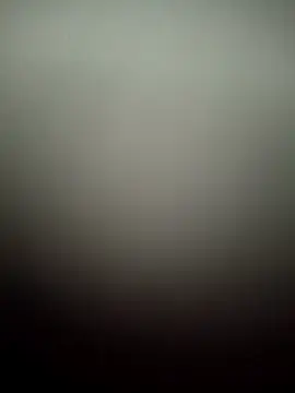 Snapshot of Janhvi- chatting on 19, 3, 2025 Janhvi- online show from 19, 3, 2025