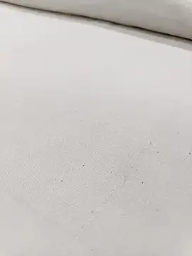 Snapshot of Janhvi- chatting on 22, 3, 2025 Janhvi- online show from 22, 3, 2025