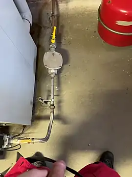 Loveboy 1987 online show from 5, 3, 2026