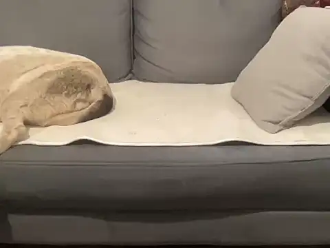 4small4inchlol online show from 17, 9, 2025