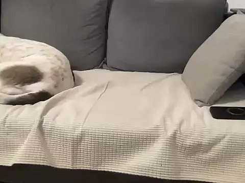 4small4inchlol online show from 21, 3, 2026