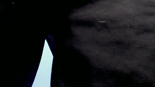 Jake tripp online show from 27, 9, 2025