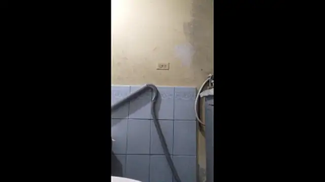 Dmoa34 online show from 13, 1, 2026