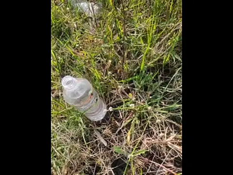 Snapshot of boy_BeardGallery chatting on 10, 11, 2025 boy BeardGallery online show from 10, 11, 2025