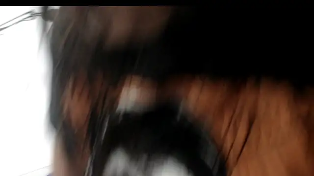 evaleribigtits18 online show from 24, 11, 2025