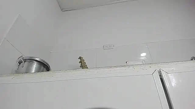 Snapshot of Sophie_sweett19 chatting on 23, 1, 2025 Sophie sweett19 online show from 23, 1, 2025