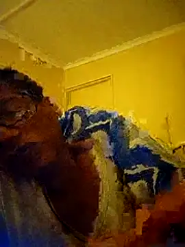 bustybillies online show from 20, 2, 2026