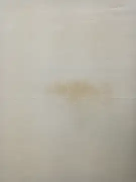 Rina777o online show from 27, 1, 2025