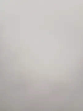 El baby12 online show from 12, 1, 2026