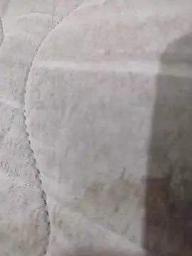 lm279 online show from 16, 2, 2025