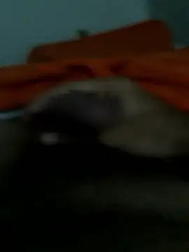 lm279 online show from 14, 1, 2026