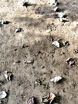 Snapshot of Ishan003 chatting on 12, 9, 2025 Ishan003 online show from 12, 9, 2025