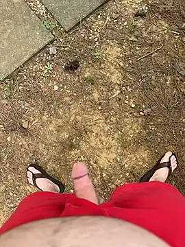 bama md08 online show from 24, 4, 2026