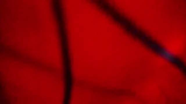 Nathaly love96 online show from 20, 2, 2026