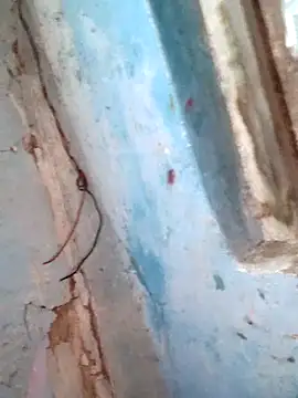 Snapshot of Natasha-In69 chatting on 6, 2, 2026 Natasha-In69 online show from 6, 2, 2026