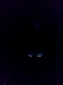 Snapshot of Romayssae_Ali-Arabic chatting on 3, 12, 2024 Romayssae Ali-Arabic online show from 3, 12, 2024