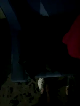 JosephAKenwood online show from 2, 12, 2025