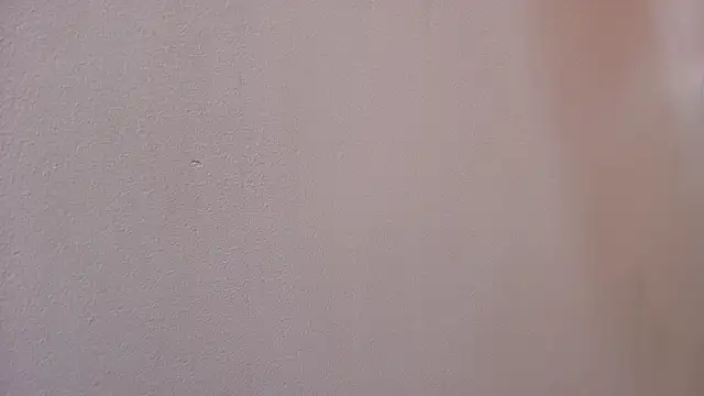 mss samy online show from 21, 2, 2025