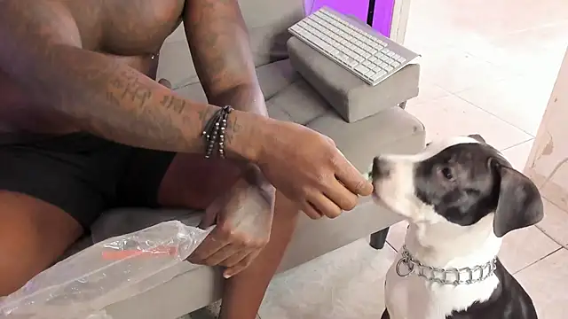 Snapshot of Dvid_Rullers chatting on 16, 9, 2025 Dvid Rullers online show from 16, 9, 2025