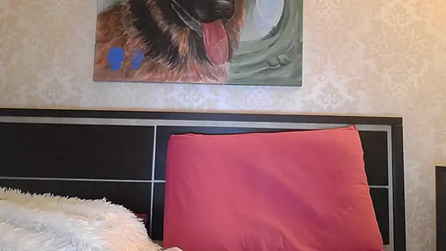 Kashtanka  online show from 9, 2, 2025