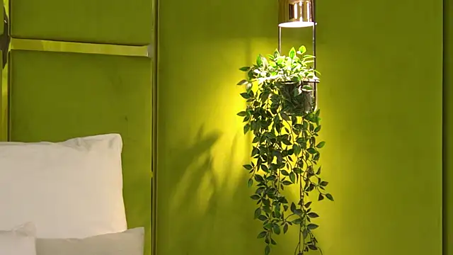 NattyDevon online show from 8, 4, 2026