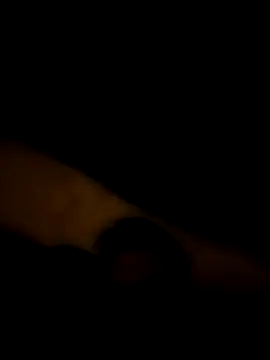 LAN69XXXX online show from 25, 3, 2026