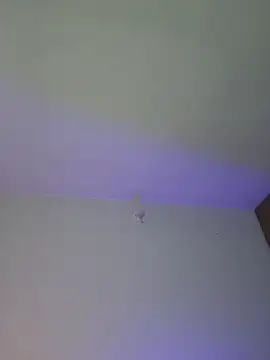 mich bittersweet online show from 17, 4, 2026