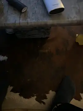 Tyson8897 online show from 7, 1, 2026