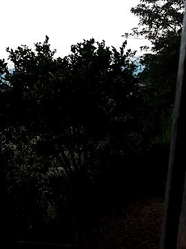 Snapshot of AuroraBon chatting on 10, 12, 2024 AuroraBon online show from 10, 12, 2024