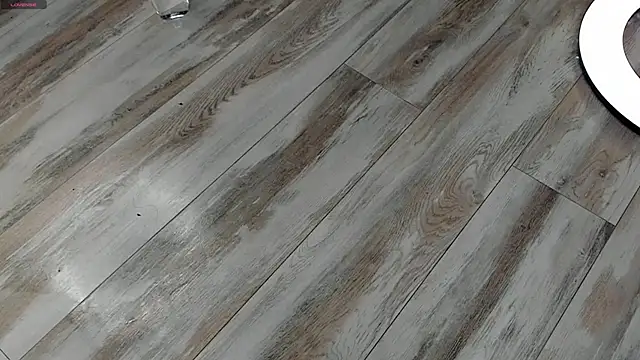 Snapshot of EdithHaskell chatting on 21, 1, 2025 EdithHaskell online show from 21, 1, 2025